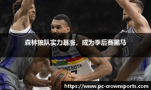 皇冠体育官方网站